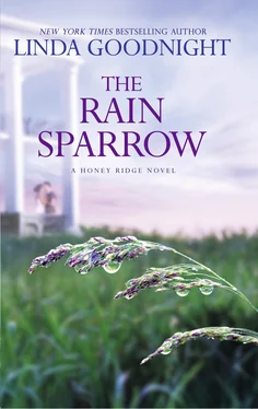 Linda Goodnight The Rain Sparrow обложка книги