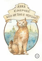Анна Смерчек - Что не так с котом?