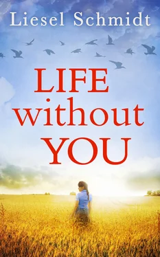 Liesel Schmidt Life Without You обложка книги