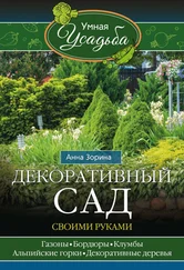 Николай Звонарев - Печи и камины своими руками