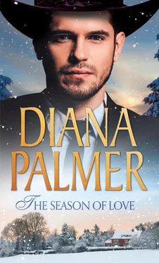 Diana Palmer The Season Of Love: Beloved обложка книги