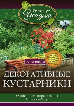 Анна Зорина Декоративные кустарники обложка книги