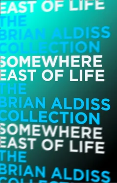 Brian Aldiss Somewhere East of Life обложка книги