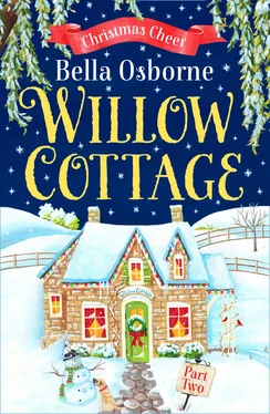 Bella Osborne Willow Cottage – Part Two: Christmas Cheer обложка книги