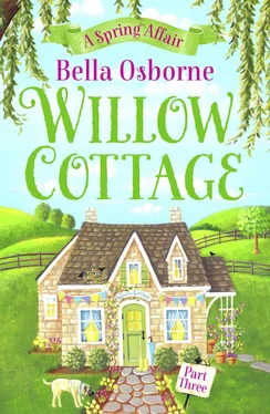 Bella Osborne Willow Cottage – Part Three: A Spring Affair обложка книги