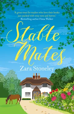 Zara Stoneley Stable Mates обложка книги