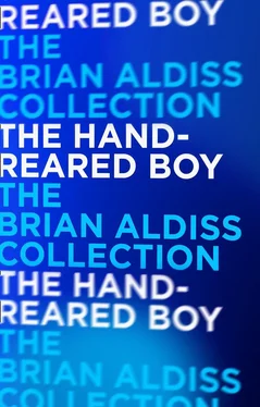 Brian Aldiss The Hand-Reared Boy обложка книги
