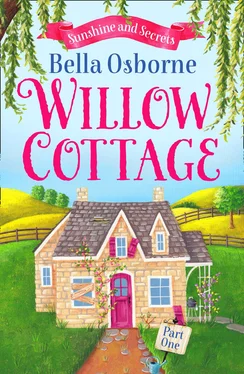 Bella Osborne Willow Cottage – Part One: Sunshine and Secrets обложка книги