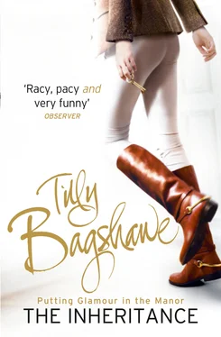 Tilly Bagshawe The Inheritance: Racy, pacy and very funny! обложка книги