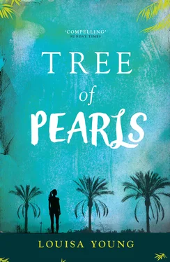 Louisa Young Tree of Pearls обложка книги