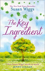 Susan Wiggs - The Key Ingredient