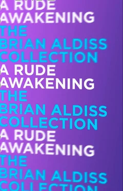 Brian Aldiss A Rude Awakening обложка книги