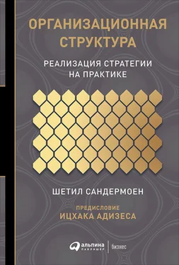 Шетил Сандермоен Организационная структура обложка книги