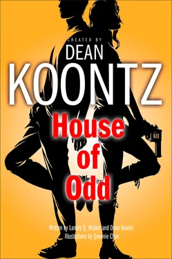 Dean Koontz House of Odd обложка книги