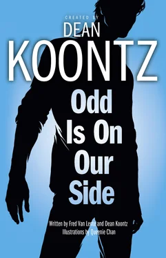 Dean Koontz Odd is on Our Side обложка книги