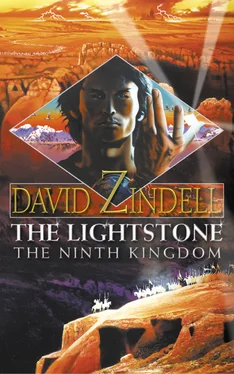 David Zindell The Lightstone: The Ninth Kingdom: Part One обложка книги