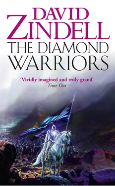 David Zindell The Diamond Warriors обложка книги