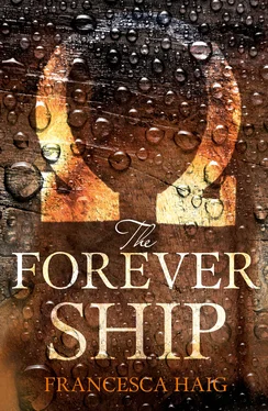 Francesca Haig The Forever Ship обложка книги