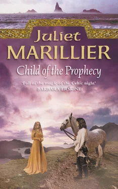 Juliet Marillier Child of the Prophecy обложка книги