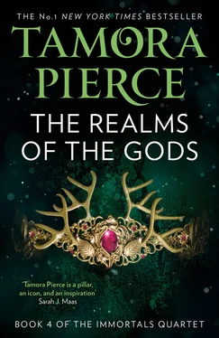 Tamora Pierce The Realms of the Gods обложка книги