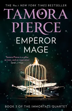 Tamora Pierce Emperor Mage обложка книги