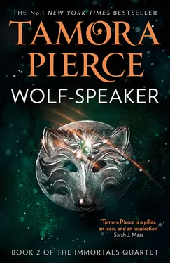 Tamora Pierce Wolf-Speaker обложка книги