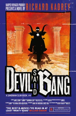 Richard Kadrey Devil Said Bang обложка книги