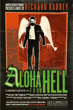 Richard Kadrey Aloha from Hell обложка книги