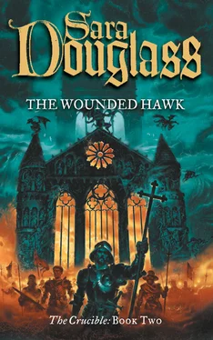 Sara Douglass The Wounded Hawk обложка книги