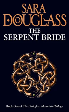 Sara Douglass The Serpent Bride обложка книги
