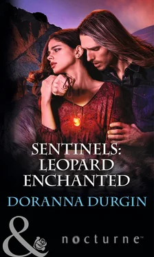 Doranna Durgin Sentinels: Leopard Enchanted обложка книги