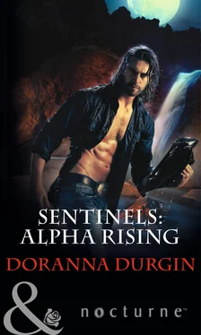 Doranna Durgin Sentinels: Alpha Rising обложка книги