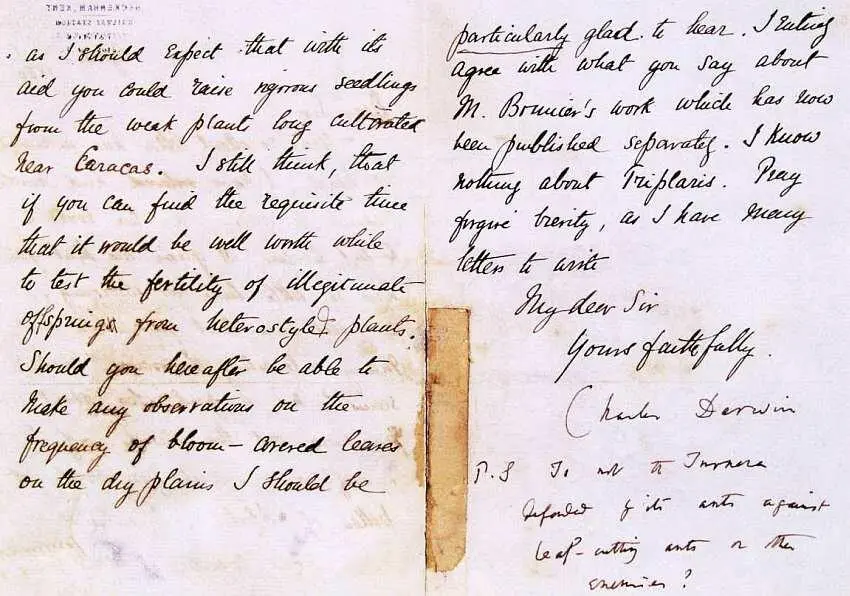 Письмо Ч Дарвина доктору А Эрнсту 1872 Хотя музей не ставил себе целью - фото 5