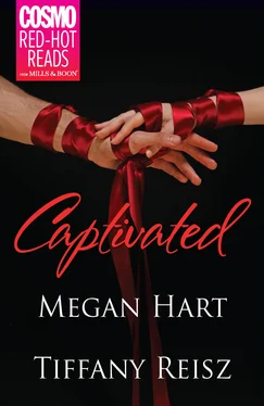 Megan Hart Captivated: Letting Go / Seize the Night обложка книги