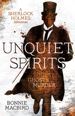 Bonnie Macbird Unquiet Spirits: Whisky, Ghosts, Adventure обложка книги