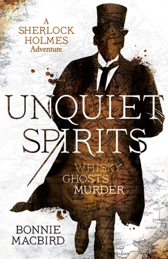 Bonnie Macbird Unquiet Spirits: Whisky, Ghosts, Murder обложка книги