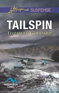 Elizabeth Goddard Tailspin обложка книги
