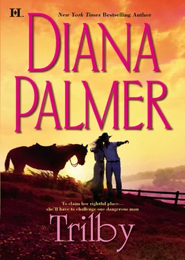 Diana Palmer Trilby обложка книги