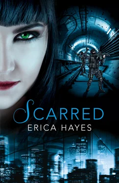Erica Hayes Scarred обложка книги