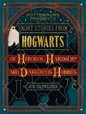 J. Rowling Short Stories From Hogwarts of Heroism, Hardship and Dangerous Hobbies обложка книги