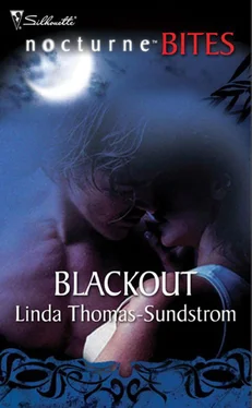 Linda Thomas-Sundstrom Blackout обложка книги