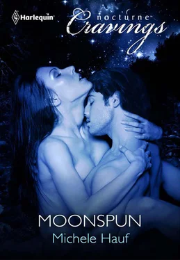 Michele Hauf Moonspun обложка книги