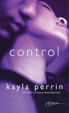 Kayla Perrin Control обложка книги