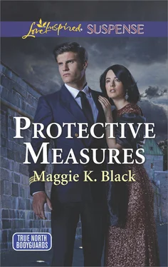 Maggie Black Protective Measures обложка книги