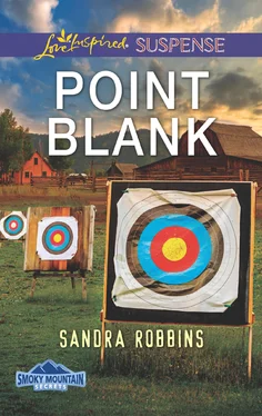 Sandra Robbins Point Blank обложка книги