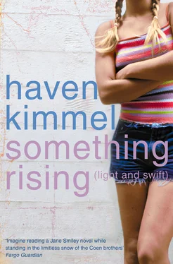 Haven Kimmel Something Rising обложка книги