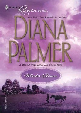 Diana Palmer Winter Roses обложка книги