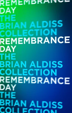 Brian Aldiss Remembrance Day обложка книги