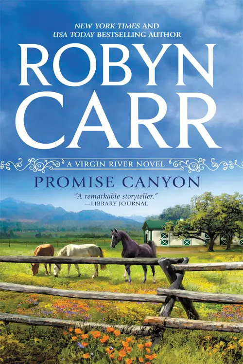 Praise for New York Times and USA TODAY bestselling author ROBYN CARR This - фото 1