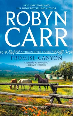 Robyn Carr Promise Canyon обложка книги